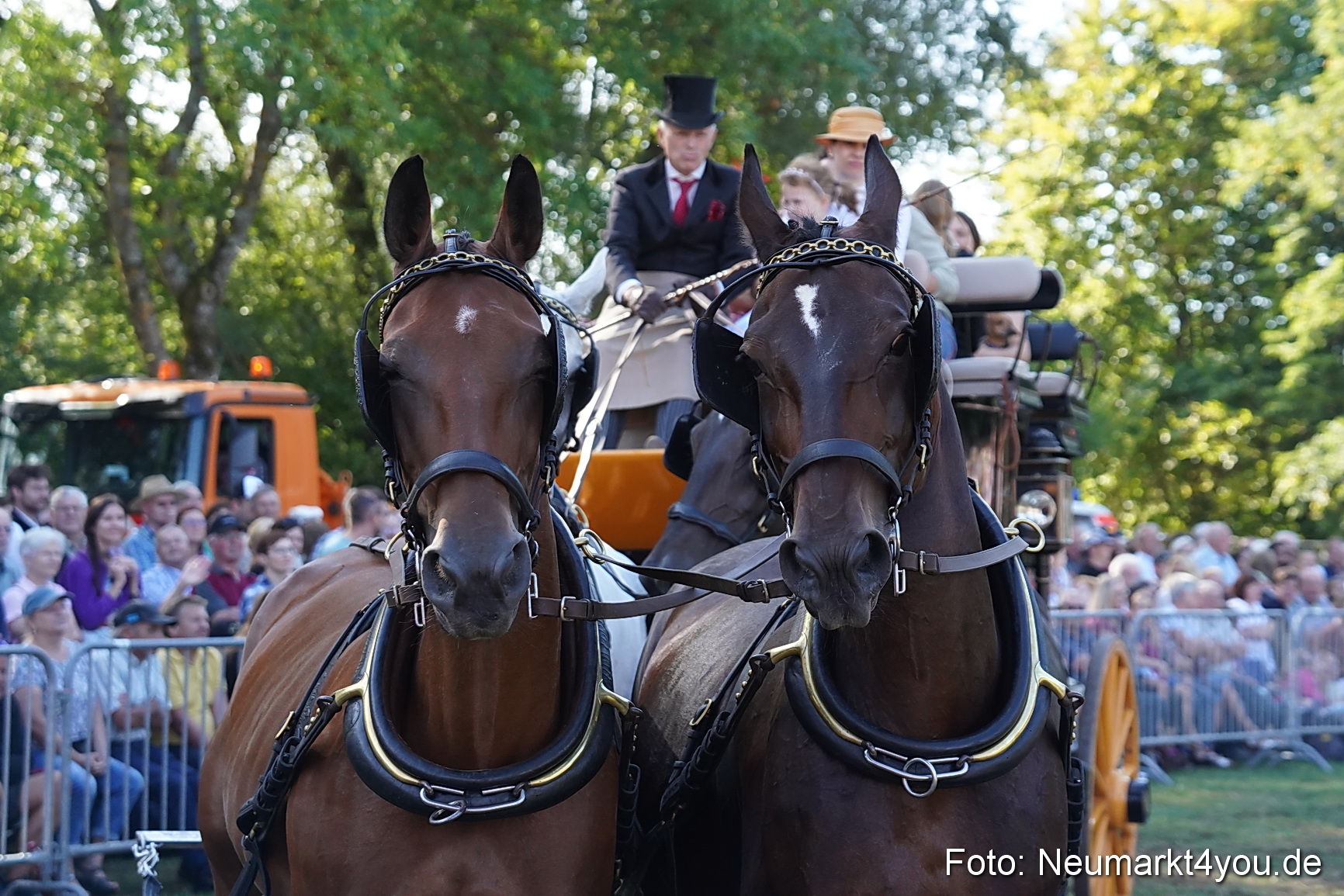 Pferde und Fohlenschau 2022 0122 